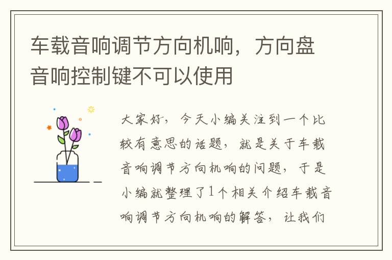 车载音响调节方向机响，方向盘音响控制键不可以使用