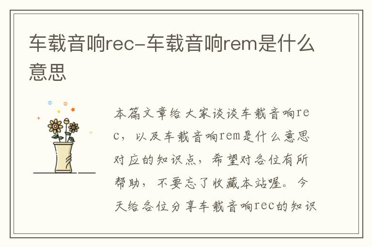 车载音响rec-车载音响rem是什么意思