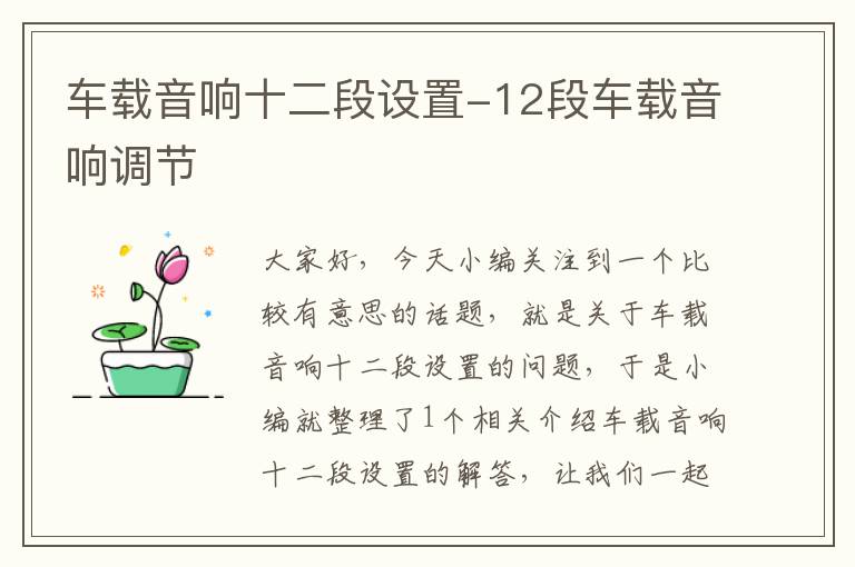 车载音响十二段设置-12段车载音响调节