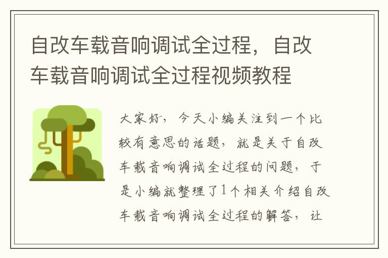 自改车载音响调试全过程，自改车载音响调试全过程视频教程