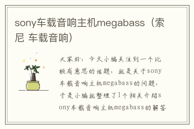 sony车载音响主机megabass（索尼 车载音响）