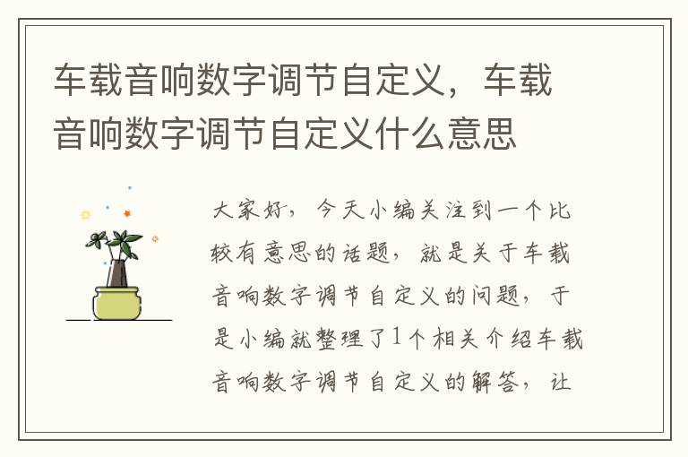 车载音响数字调节自定义，车载音响数字调节自定义什么意思