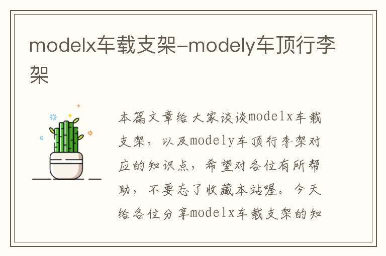 modelx车载支架-modely车顶行李架