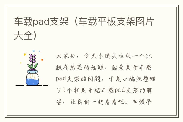 车载pad支架（车载平板支架图片大全）