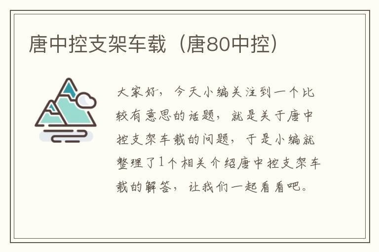 唐中控支架车载（唐80中控）