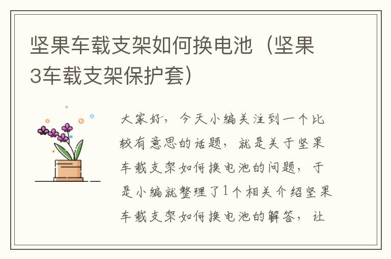 坚果车载支架如何换电池（坚果3车载支架保护套）