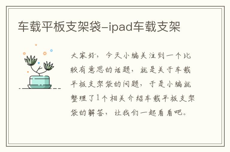 车载平板支架袋-ipad车载支架