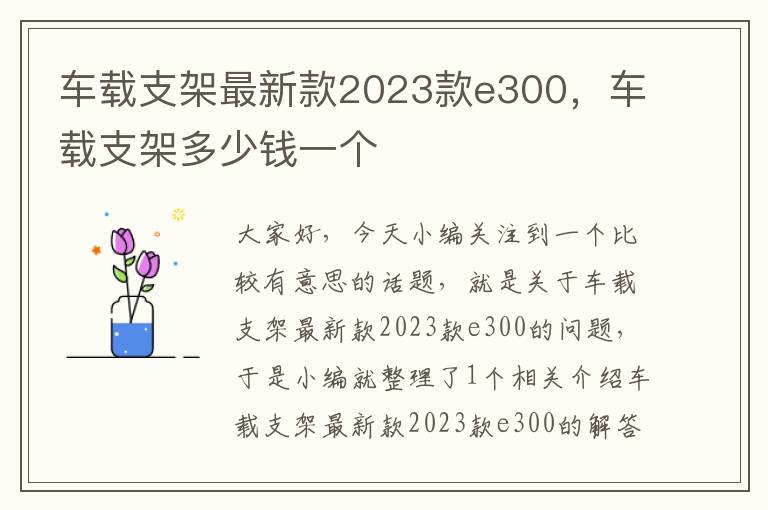 车载支架最新款2023款e300，车载支架多少钱一个