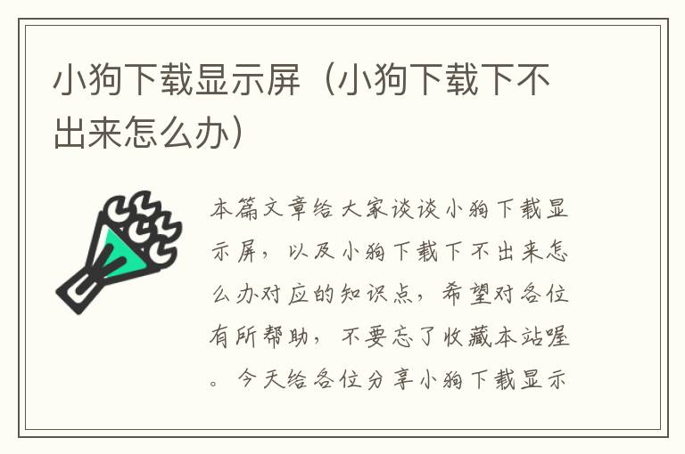 小狗下载显示屏（小狗下载下不出来怎么办）