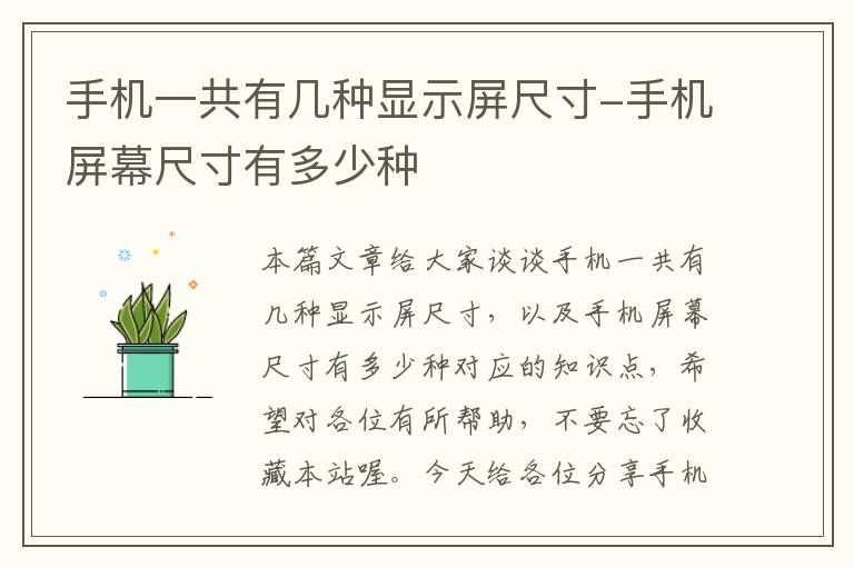 手机一共有几种显示屏尺寸-手机屏幕尺寸有多少种