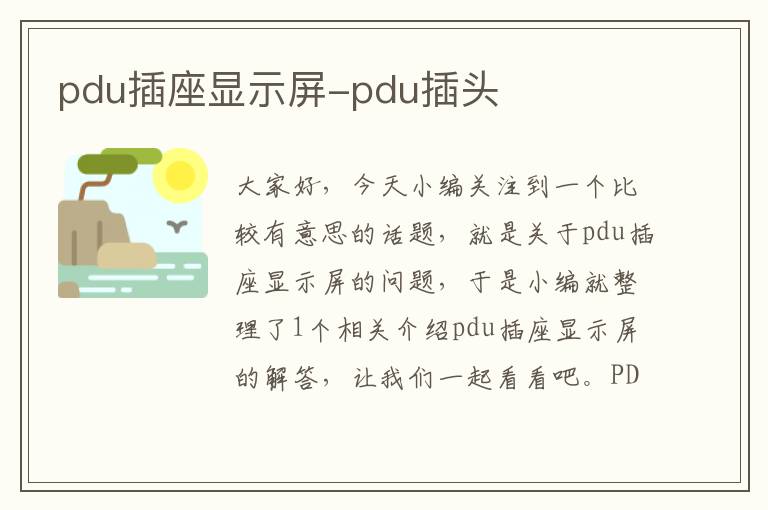 pdu插座显示屏-pdu插头