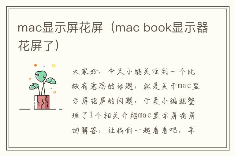 mac显示屏花屏（mac book显示器花屏了）