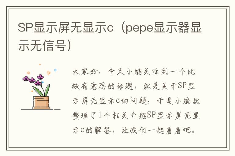 SP显示屏无显示c（pepe显示器显示无信号）