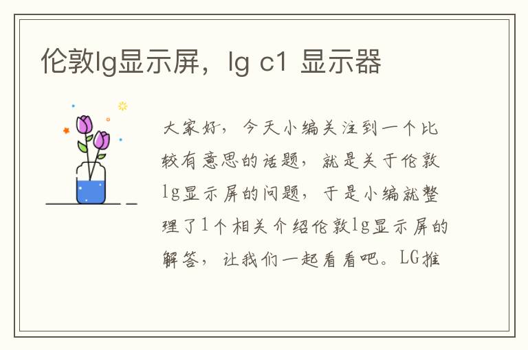 伦敦lg显示屏，lg c1 显示器