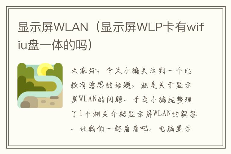 显示屏WLAN（显示屏WLP卡有wifiu盘一体的吗）