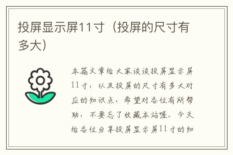 投屏显示屏11寸（投屏的尺寸有多大）