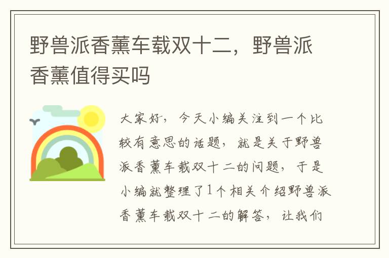 野兽派香薰车载双十二，野兽派香薰值得买吗