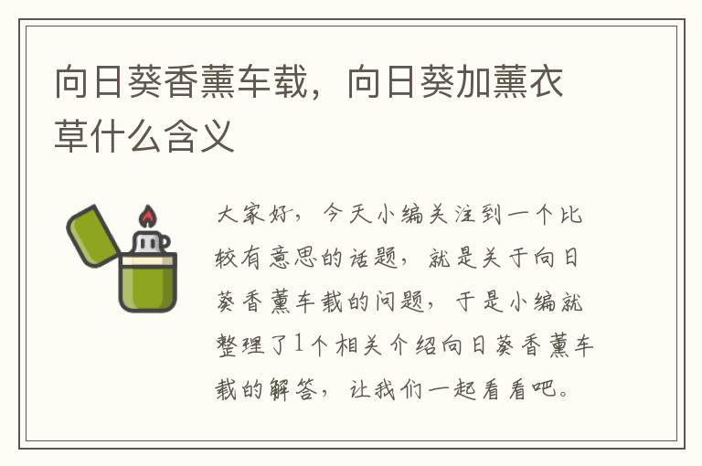 向日葵香薰车载，向日葵加薰衣草什么含义