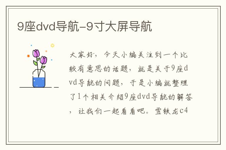 9座dvd导航-9寸大屏导航