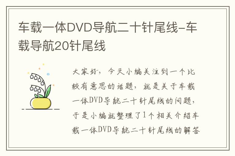 车载一体DVD导航二十针尾线-车载导航20针尾线