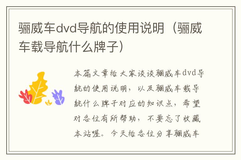 骊威车dvd导航的使用说明（骊威车载导航什么牌子）