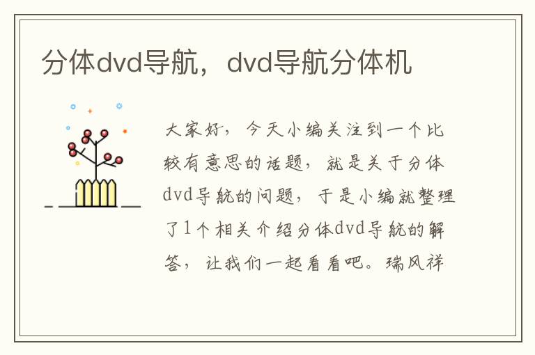 分体dvd导航，dvd导航分体机