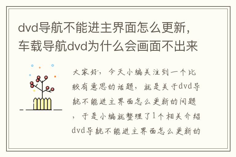 dvd导航不能进主界面怎么更新，车载导航dvd为什么会画面不出来