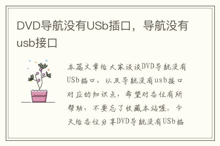 DVD导航没有USb插口，导航没有usb接口