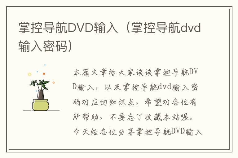 掌控导航DVD输入（掌控导航dvd输入密码）