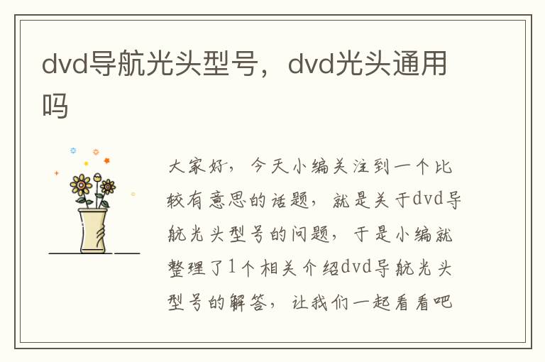 dvd导航光头型号，dvd光头通用吗