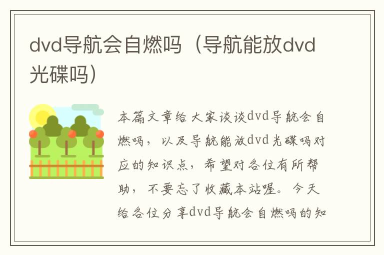 dvd导航会自燃吗（导航能放dvd光碟吗）