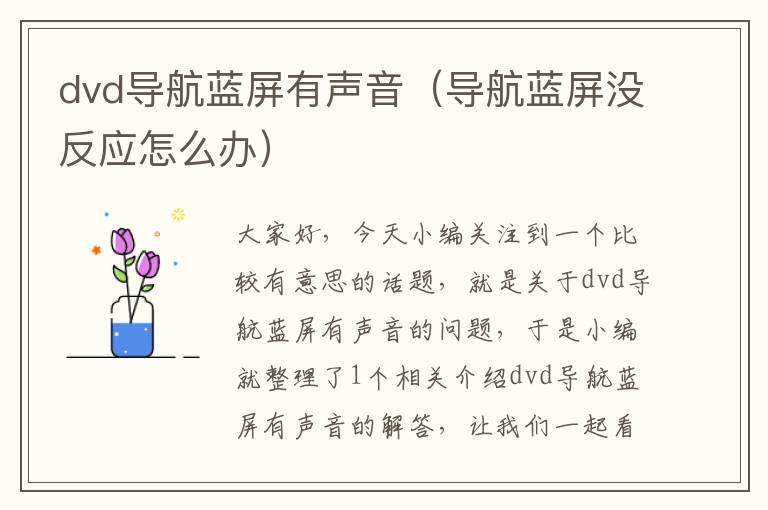 dvd导航蓝屏有声音（导航蓝屏没反应怎么办）