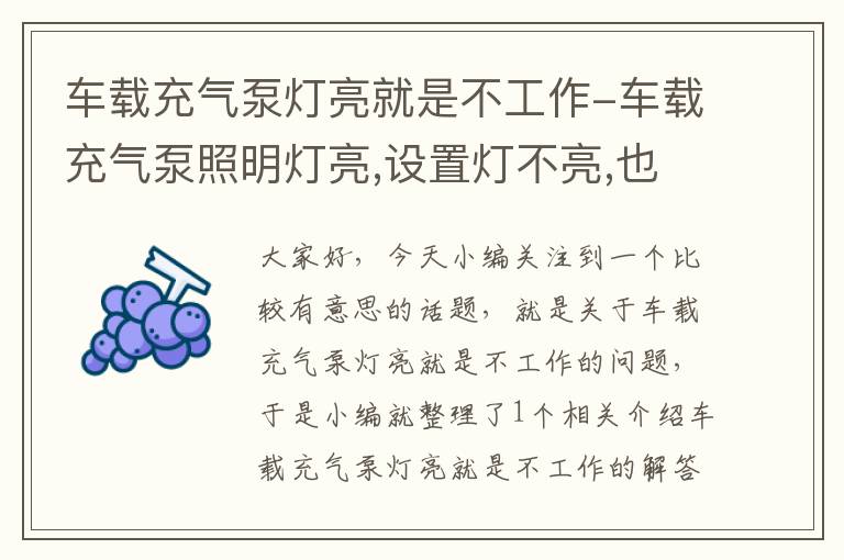 车载充气泵灯亮就是不工作-车载充气泵照明灯亮,设置灯不亮,也不工作了怎么办?