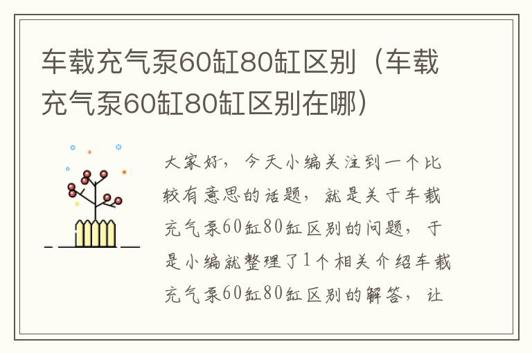 车载充气泵60缸80缸区别（车载充气泵60缸80缸区别在哪）