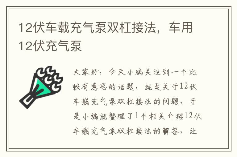 12伏车载充气泵双杠接法，车用12伏充气泵