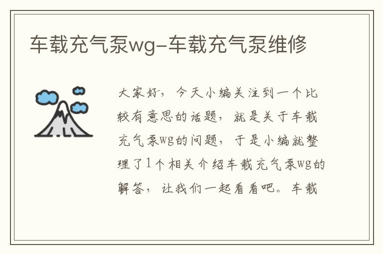 车载充气泵wg-车载充气泵维修