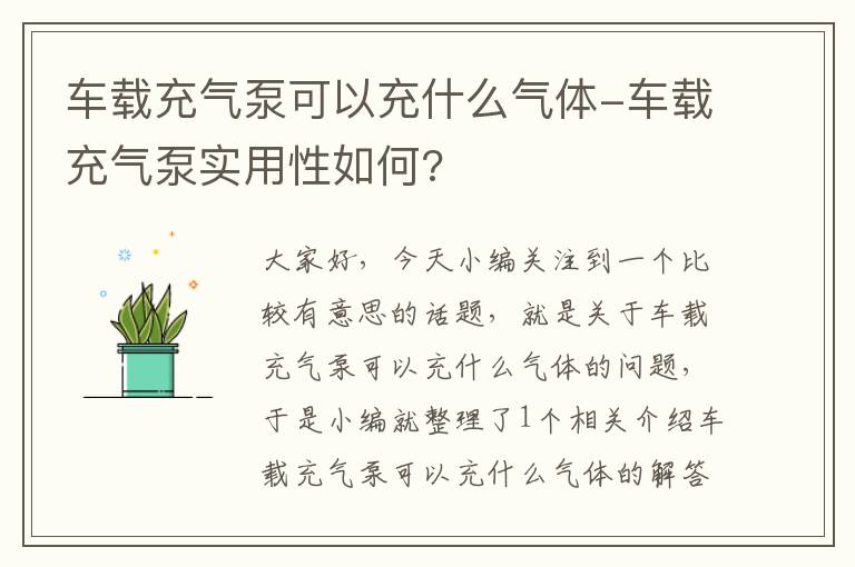 车载充气泵可以充什么气体-车载充气泵实用性如何?