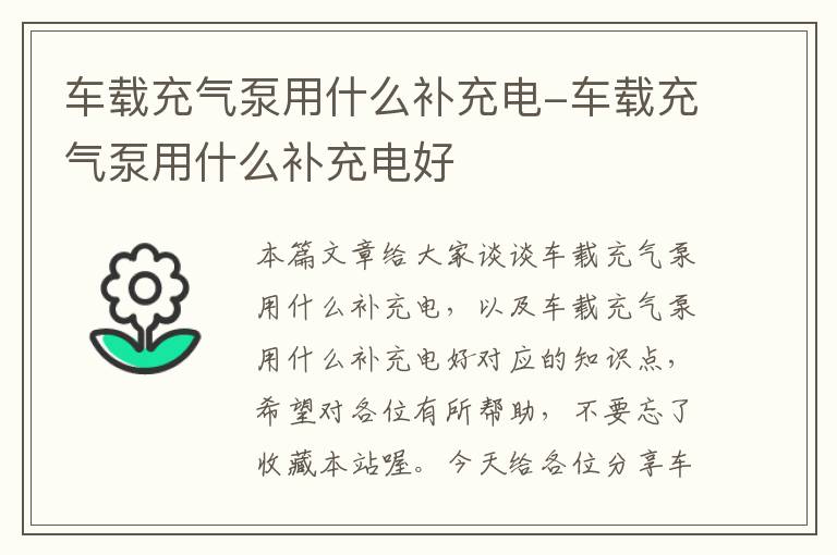 车载充气泵用什么补充电-车载充气泵用什么补充电好