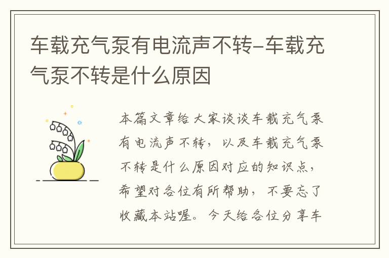 车载充气泵有电流声不转-车载充气泵不转是什么原因