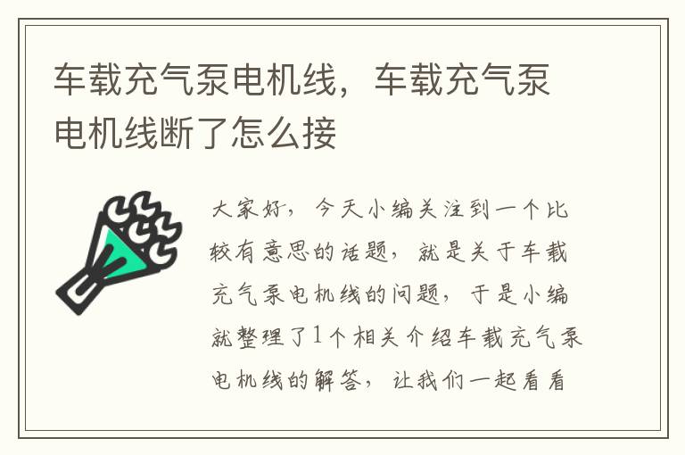 车载充气泵电机线，车载充气泵电机线断了怎么接