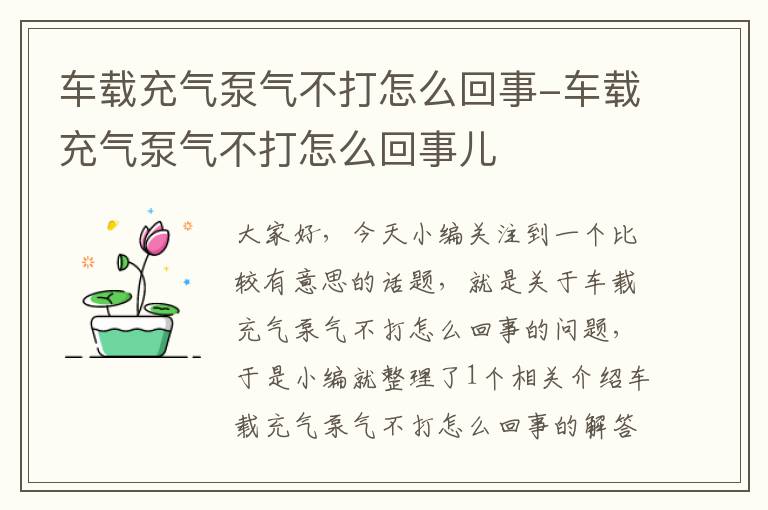 车载充气泵气不打怎么回事-车载充气泵气不打怎么回事儿