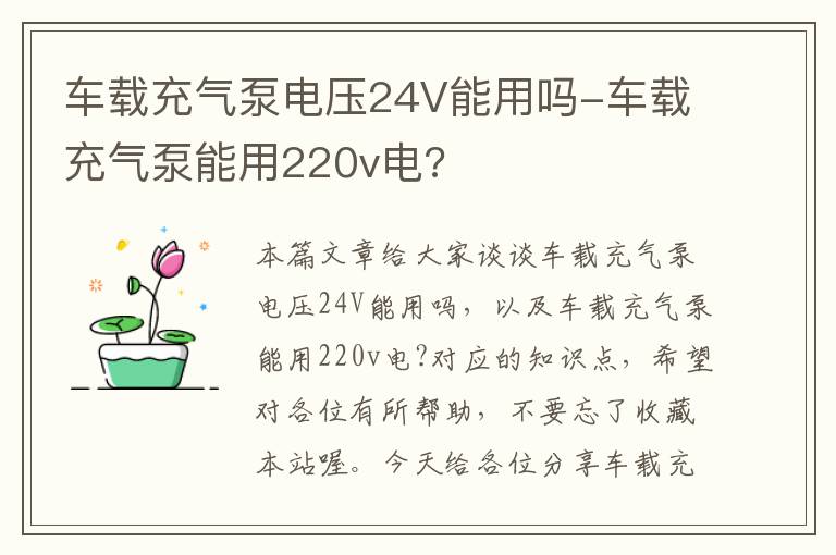 车载充气泵电压24V能用吗-车载充气泵能用220v电?