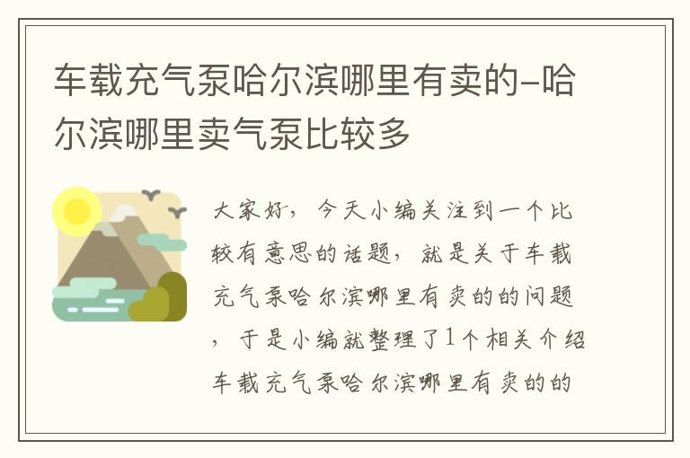 车载充气泵哈尔滨哪里有卖的-哈尔滨哪里卖气泵比较多