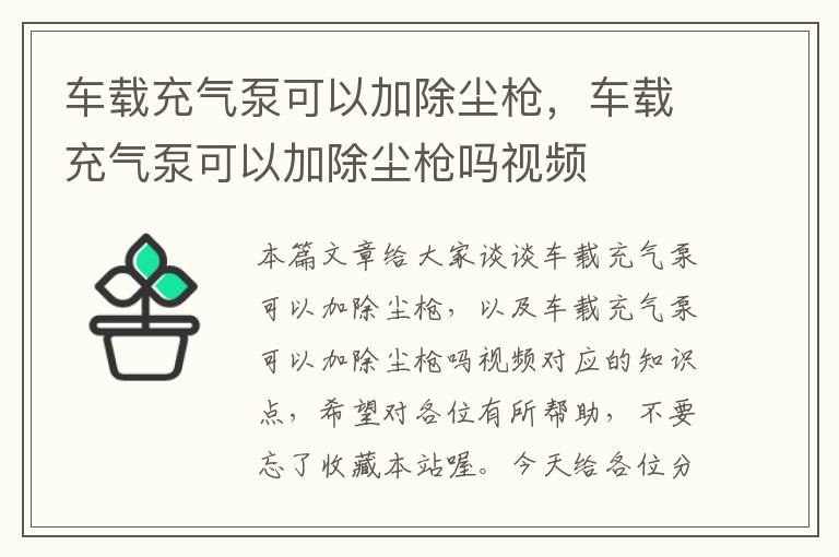 车载充气泵可以加除尘枪，车载充气泵可以加除尘枪吗视频