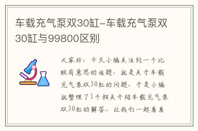 车载充气泵双30缸-车载充气泵双30缸与99800区别