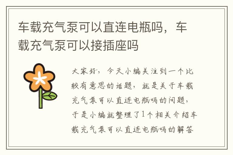 车载充气泵可以直连电瓶吗，车载充气泵可以接插座吗