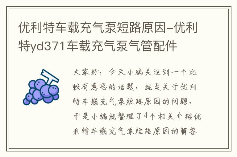 优利特车载充气泵短路原因-优利特yd371车载充气泵气管配件