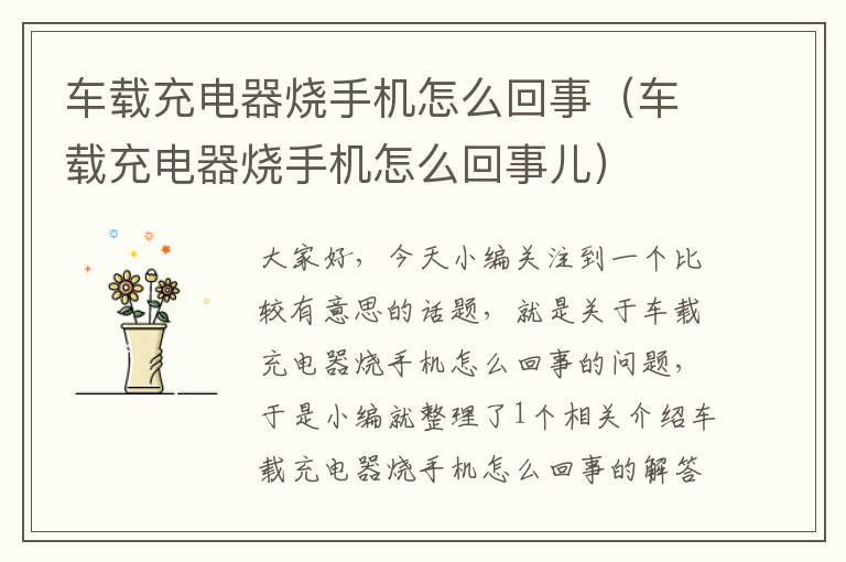 车载充电器烧手机怎么回事（车载充电器烧手机怎么回事儿）