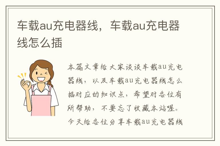 车载au充电器线，车载au充电器线怎么插