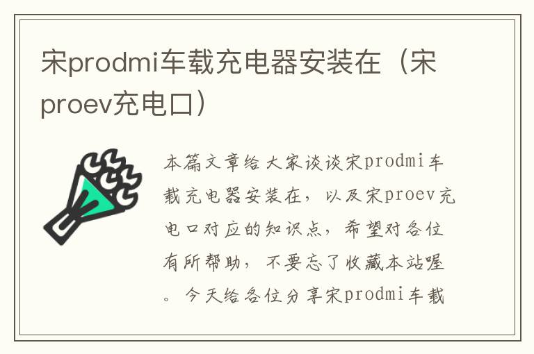 宋prodmi车载充电器安装在（宋proev充电口）